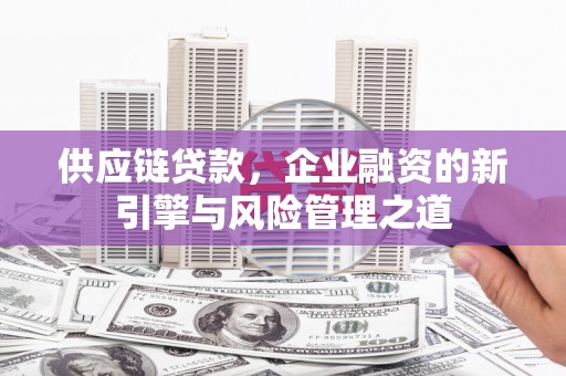 盐津供应链贷款，企业融资的新引擎与风险管理之道
