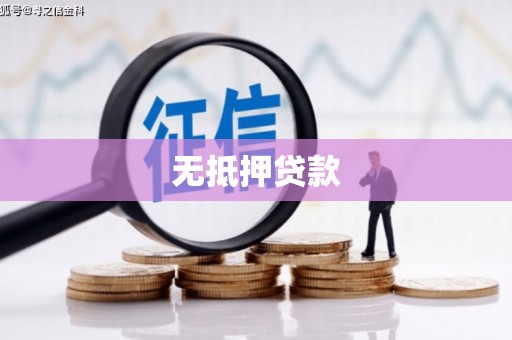 盐津无抵押贷款