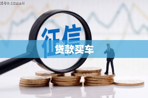 盐津贷款买车