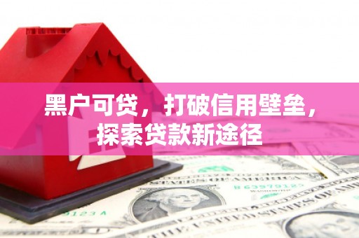 盐津黑户可贷，打破信用壁垒，探索贷款新途径