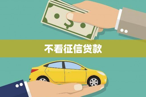盐津不看征信贷款