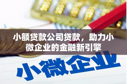 盐津小额贷款公司贷款，助力小微企业的金融新引擎