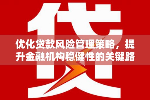 盐津优化贷款风险管理策略，提升金融机构稳健性的关键路径