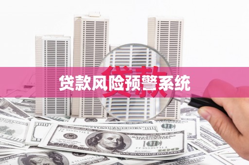 盐津贷款风险预警系统