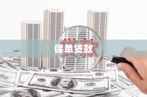 盐津保单贷款