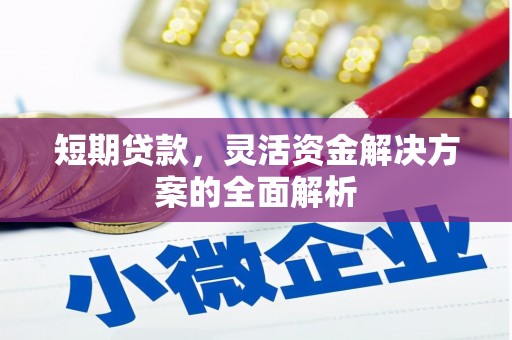 盐津短期贷款，灵活资金解决方案的全面解析