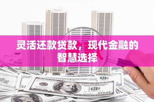 盐津灵活还款贷款，现代金融的智慧选择