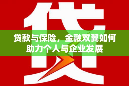 盐津贷款与保险，金融双翼如何助力个人与企业发展