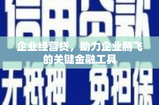 盐津企业经营贷，助力企业腾飞的关键金融工具