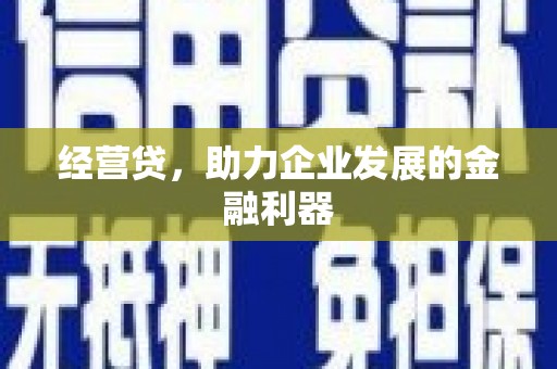 盐津经营贷，助力企业发展的金融利器