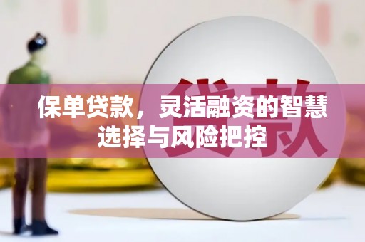 盐津保单贷款，灵活融资的智慧选择与风险把控