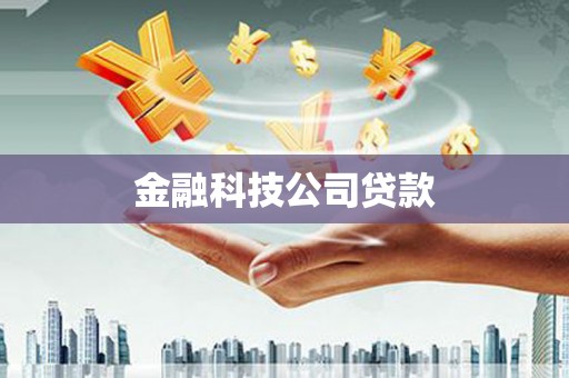 盐津金融科技公司贷款