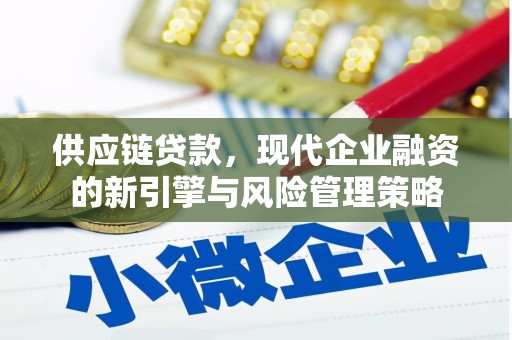 盐津供应链贷款，现代企业融资的新引擎与风险管理策略