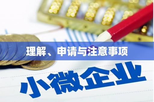 盐津理解、申请与注意事项