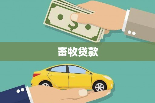 盐津畜牧贷款