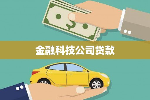 盐津金融科技公司贷款