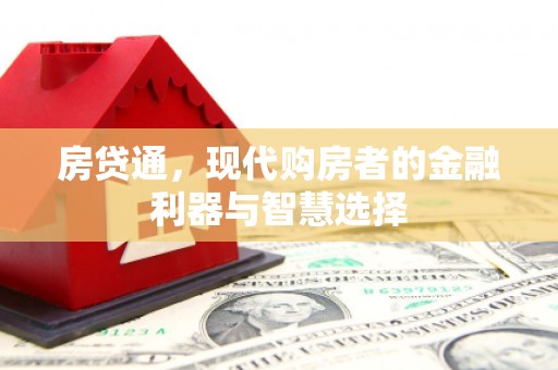 盐津房贷通，现代购房者的金融利器与智慧选择