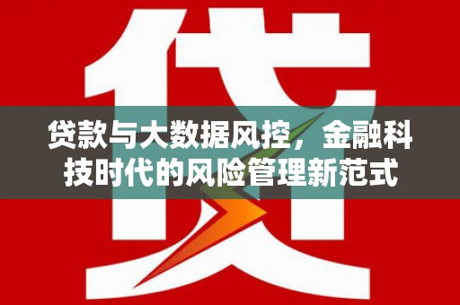 盐津贷款与大数据风控，金融科技时代的风险管理新范式