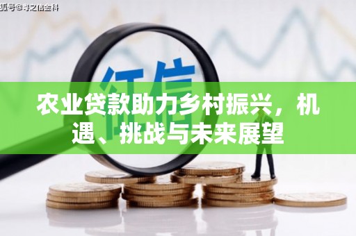 盐津农业贷款助力乡村振兴，机遇、挑战与未来展望