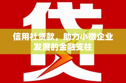 盐津信用社贷款，助力小微企业发展的金融支柱