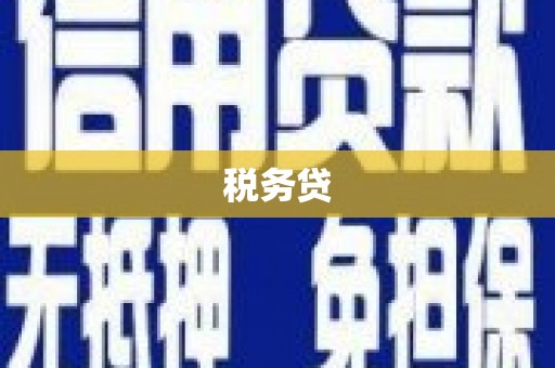 盐津税务贷