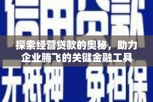 盐津探索经营贷款的奥秘，助力企业腾飞的关键金融工具