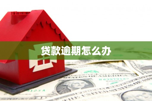 盐津贷款逾期怎么办