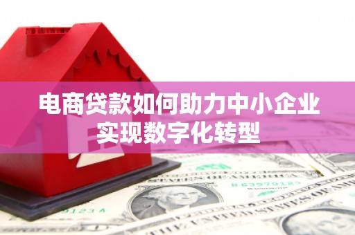 盐津电商贷款如何助力中小企业实现数字化转型