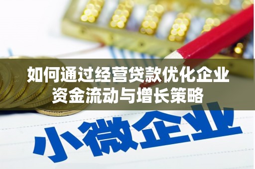 盐津如何通过经营贷款优化企业资金流动与增长策略