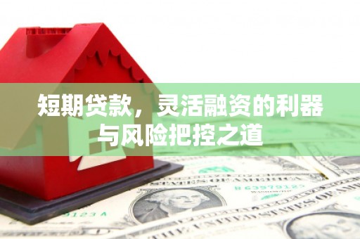 盐津短期贷款，灵活融资的利器与风险把控之道