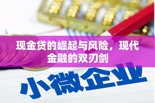 盐津现金贷的崛起与风险，现代金融的双刃剑