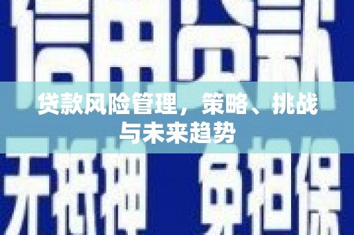 盐津贷款风险管理，策略、挑战与未来趋势