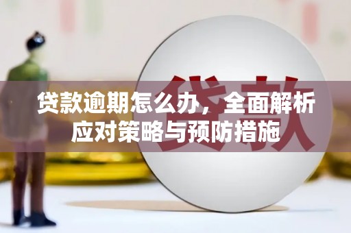 盐津贷款逾期怎么办，全面解析应对策略与预防措施