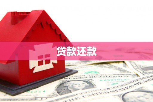 盐津贷款还款