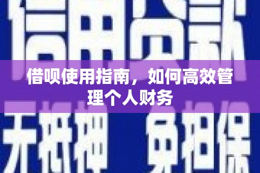 盐津借呗使用指南，如何高效管理个人财务