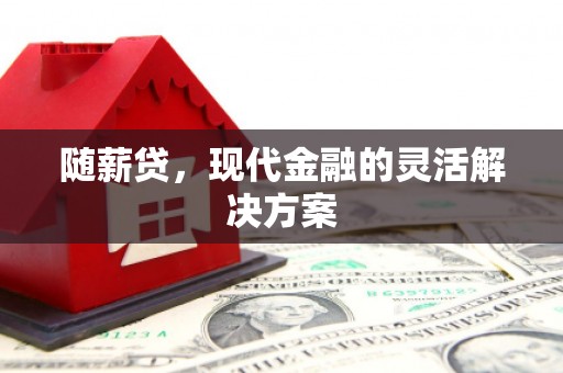 盐津随薪贷，现代金融的灵活解决方案