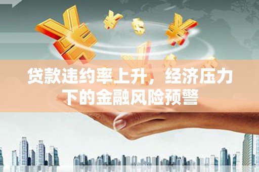 盐津贷款违约率上升，经济压力下的金融风险预警