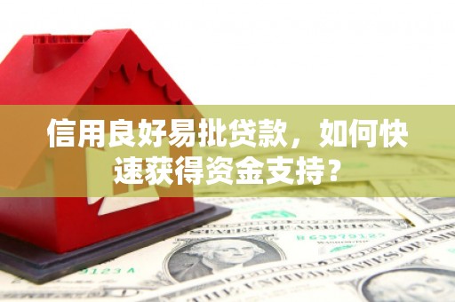 盐津信用良好易批贷款，如何快速获得资金支持？