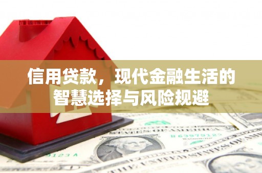 盐津信用贷款，现代金融生活的智慧选择与风险规避