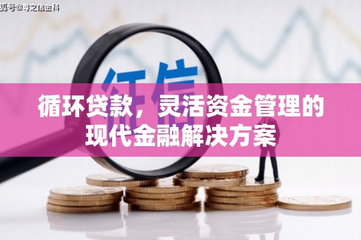 盐津循环贷款，灵活资金管理的现代金融解决方案