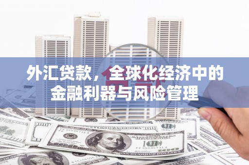 盐津外汇贷款，全球化经济中的金融利器与风险管理