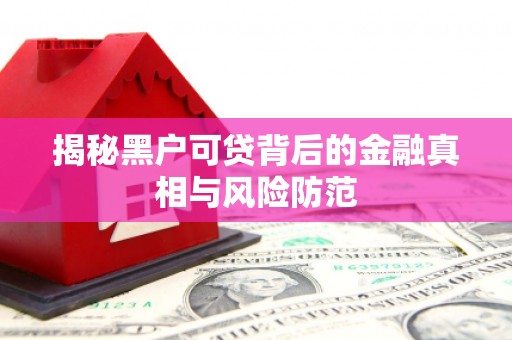 盐津揭秘黑户可贷背后的金融真相与风险防范