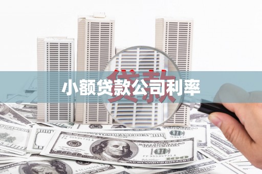 盐津小额贷款公司利率