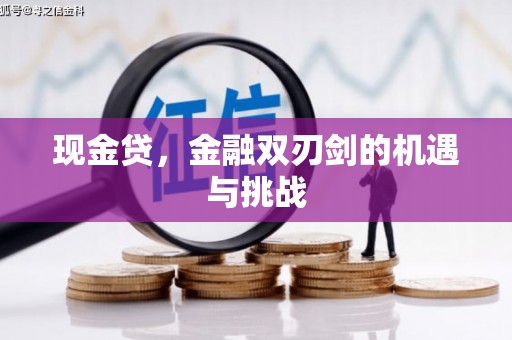 盐津现金贷，金融双刃剑的机遇与挑战