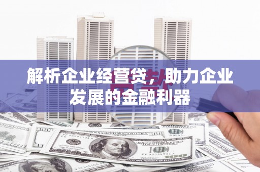 盐津解析企业经营贷，助力企业发展的金融利器