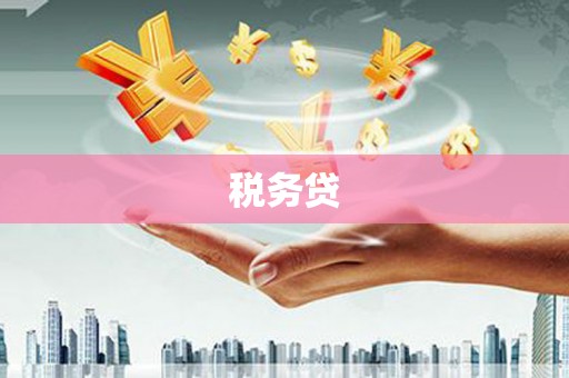 盐津税务贷