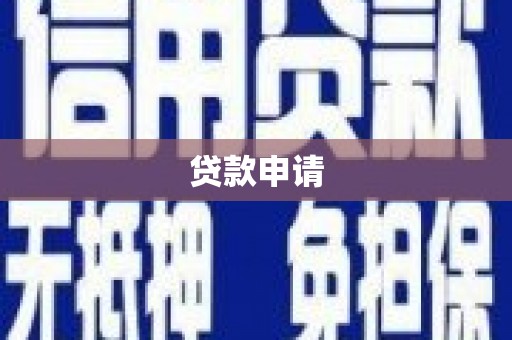 盐津贷款申请