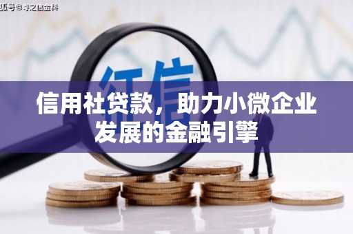 盐津信用社贷款，助力小微企业发展的金融引擎