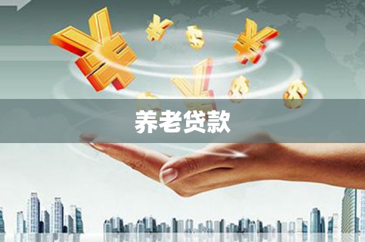 盐津养老贷款