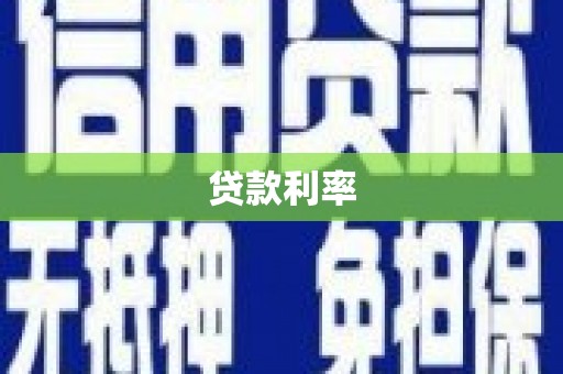 盐津贷款利率